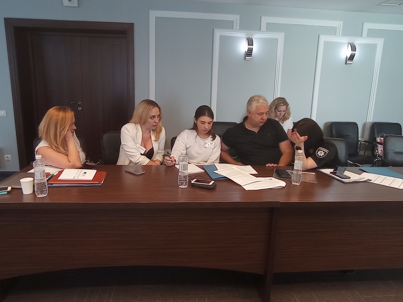 Працюємо над забезпеченням життєздатності планів з протидії онлайн-насильству щодо дітей та підлітків на регіональному рівні