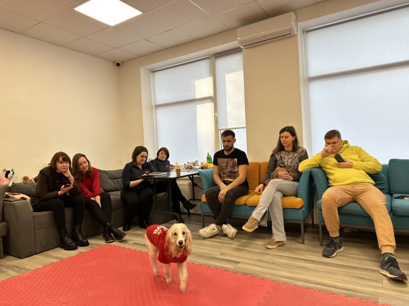 Підбиваємо підсумки та готуємось до Різдвяних свят